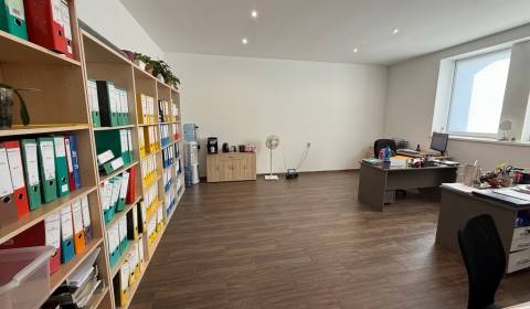 Pronájem Kancelářské prostory, Kancelářské prostory, A. Kmeťa, Martin,