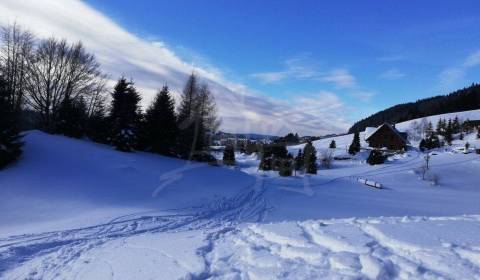 Prodej Zahrady, Zahrady, Banská Bystrica, Slovensko