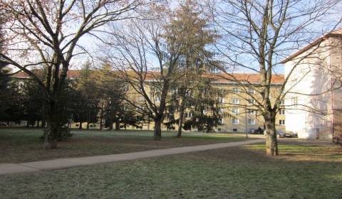 Hledáme Byt 1+1, Byt 1+1, Tr.SNP, Banská Bystrica, Slovensko