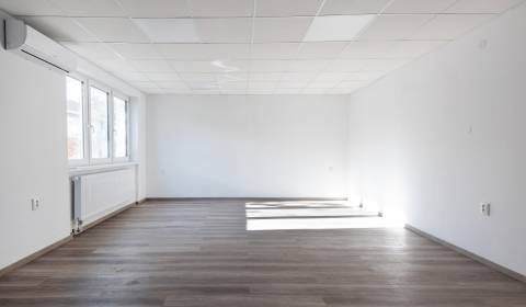 Pronájem Kancelářské prostory, Kancelářské prostory, Novozámocká, Nitr