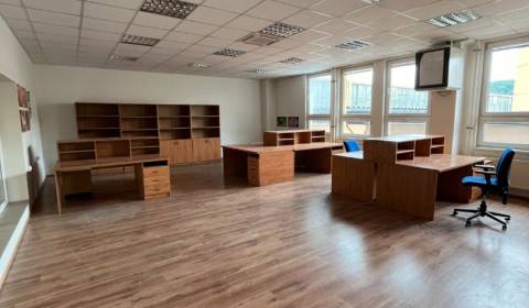 Pronájem Kancelářské prostory, Kancelářské prostory, Kysucká, Žilina, 