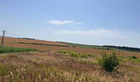 Prodej Pozemky - bydlení, Pozemky - bydlení, Nitra, Slovensko