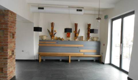 Pronájem Prostory pro obchod, Prostory pro obchod, Bratislavská, Dunaj