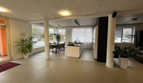 Pronájem Prostory pro obchod, Prostory pro obchod, Žilina, Slovensko