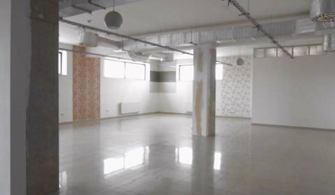 Pronájem Prostory pro obchod, Prostory pro obchod, Bratislavská, Dunaj