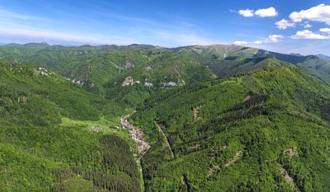 Prodej Zemědělské a lesní, Zemědělské a lesní, Banská Bystrica, Sloven