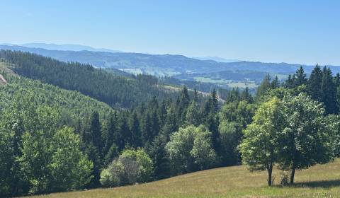 Prodej Pozemky - bydlení, Pozemky - bydlení, Čadca, Slovensko