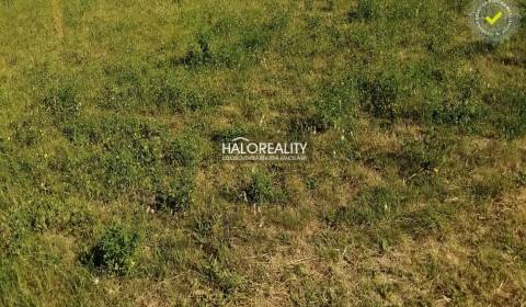 Prodej Pozemky - bydlení, Nové Mesto nad Váhom, Slovensko