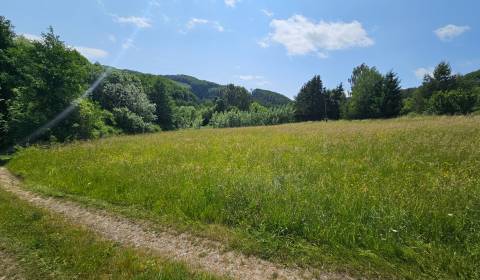 Prodej Pozemky - bydlení, Pozemky - bydlení, Zvolen, Slovensko