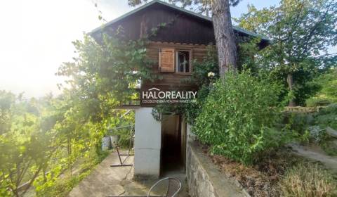 Prodej Zahrady, Zvolen, Slovensko