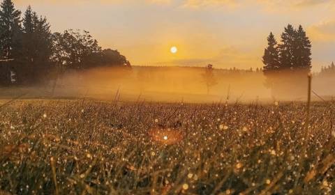 Prodej Zemědělské a lesní, Zemědělské a lesní, Snina, Slovensko