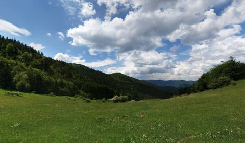 Prodej Zemědělské a lesní, Zemědělské a lesní, Prievidza, Slovensko