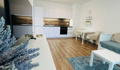 Pronájem Byt 1+1, Byt 1+1, Karpatská, Poprad, Slovensko