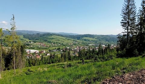 Prodej Zemědělské a lesní, Zemědělské a lesní, Čadca, Slovensko