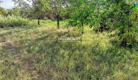 Prodej Pozemky - bydlení, Nové Mesto nad Váhom, Slovensko