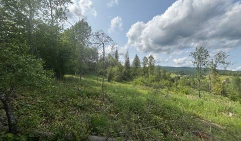 Prodej Pozemky - rekreace, Pozemky - rekreace, Raková, Čadca, Slovensk