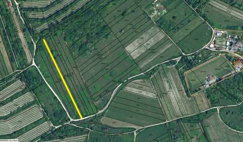 Prodej Vinice, Vinice, Vtáčikova cesta, Bratislava - Rača, Slovensko