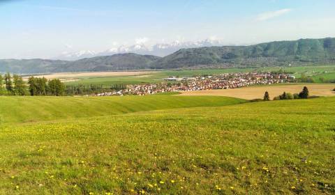 Prodej Zemědělské a lesní, Zemědělské a lesní, Poprad, Slovensko