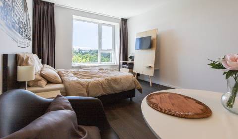 Pronájem Byt 1+1, Byt 1+1, Žilinská, Bratislava - Staré Mesto, Slovens