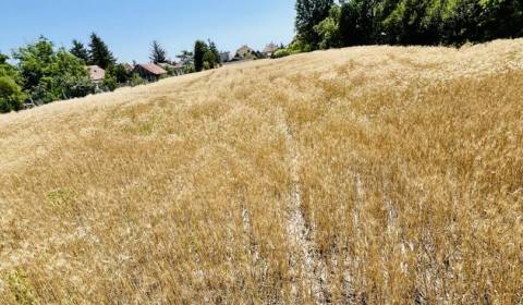Prodej Pozemky - bydlení, Pozemky - bydlení, Dunajská Streda, Slovensk