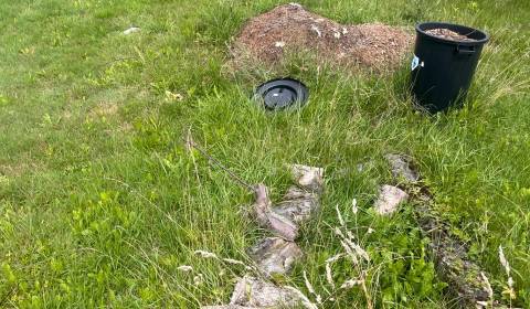 Prodej Pozemky - bydlení, Pozemky - bydlení, Čadca, Slovensko