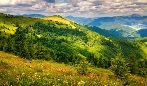 Prodej Zemědělské a lesní, Zemědělské a lesní, Medzilaborce, Slovensko