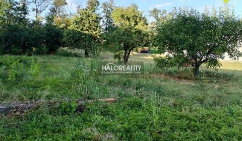 Prodej Pozemky - bydlení, Levice, Slovensko