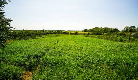 Prodej Pozemky - bydlení, Pozemky - bydlení, Mostná, Nové Zámky, Slove