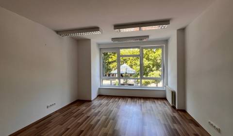 Pronájem Kancelářské prostory, Kancelářské prostory, Hviezdoslavovo ná