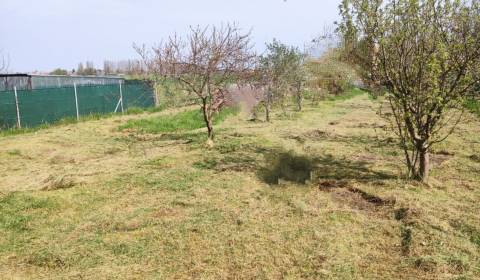 Prodej Pozemky - bydlení, Pozemky - bydlení, Dunajská Streda, Slovensk