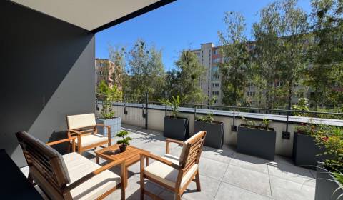 Pronájem Byt 1+1, Byt 1+1, Popradská, Košice - Západ, Slovensko