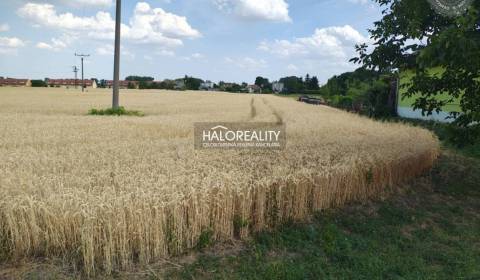 Prodej Pozemky - bydlení, Dunajská Streda, Slovensko