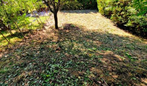 Prodej Zahrady, Zahrady, Nitra, Slovensko