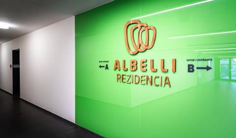 Pronájem Byt 2+1, Byt 2+1, Bellova, Košice - Staré Mesto, Slovensko