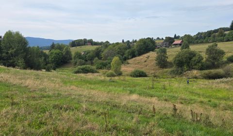 Prodej Pozemky - rekreace, Pozemky - rekreace, Bratkovica, Detva, Slov