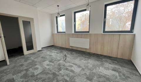 Pronájem Kancelářské prostory, Kancelářské prostory, Michalovce, Slove