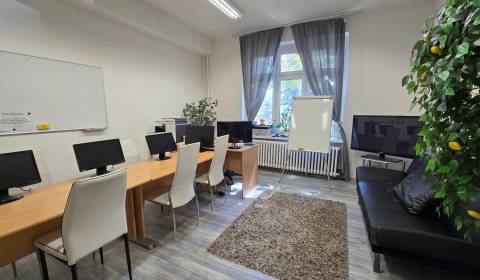 Pronájem Kancelářské prostory, Kancelářské prostory, Študentská, Zvole