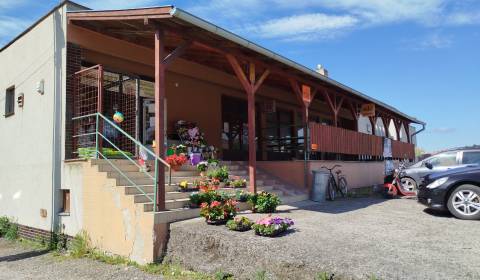 Prodej Prostory pro obchod, Prostory pro obchod, Levice, Slovensko