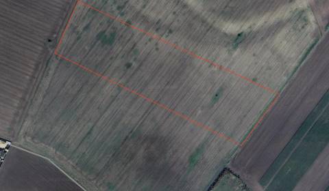 Prodej Zemědělské a lesní, Zemědělské a lesní, Senec, Slovensko