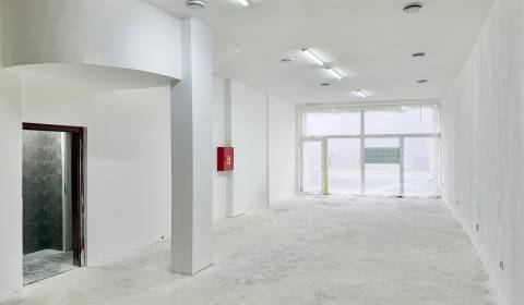 Pronájem Prostory pro obchod, Prostory pro obchod, J. M. Geromettu, Ži