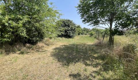 Prodej Pozemky - bydlení, Pozemky - bydlení, Nové Zámky, Slovensko