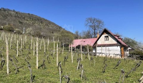 Prodej Chata, Chata, Rožňava, Slovensko