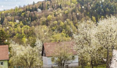 Prodej Rodinný dům, Rodinný dům, Detva, Slovensko