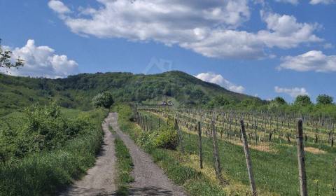 Prodej Chata, Chata, Veľký Krtíš, Slovensko
