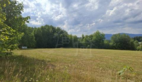 Prodej Chata, Chata, Detva, Slovensko