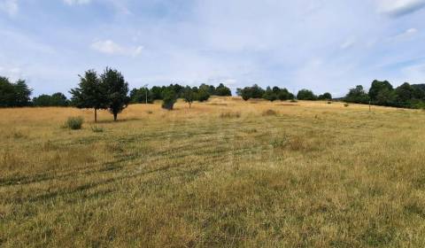Prodej Zemědělské a lesní, Zemědělské a lesní, Žiar nad Hronom, Sloven