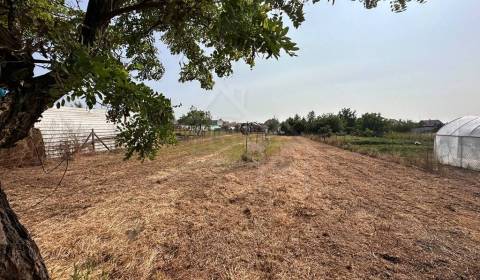 Prodej Pozemky - bydlení, Pozemky - bydlení, Komárno, Slovensko