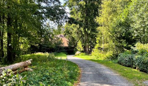 Prodej Pozemky - bydlení, Pozemky - bydlení, Žiar nad Hronom, Slovensk