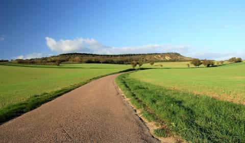 Prodej Zemědělské a lesní, Zemědělské a lesní, intravilán, Topoľčany, 
