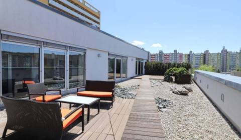 Pronájem Kancelářské prostory, Kancelářské prostory, Sekurisova, Brati